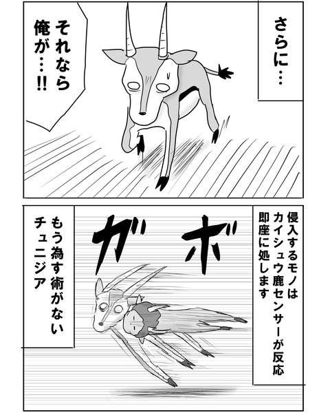 チュニジア戦8
