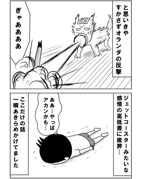 続オランダ戦7