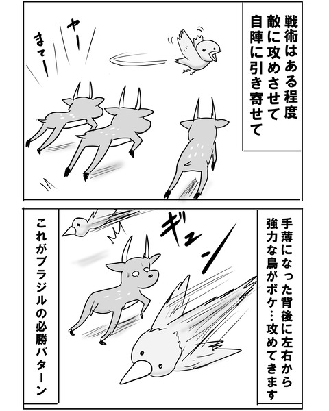 ブラジル7