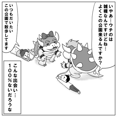 クッパ10