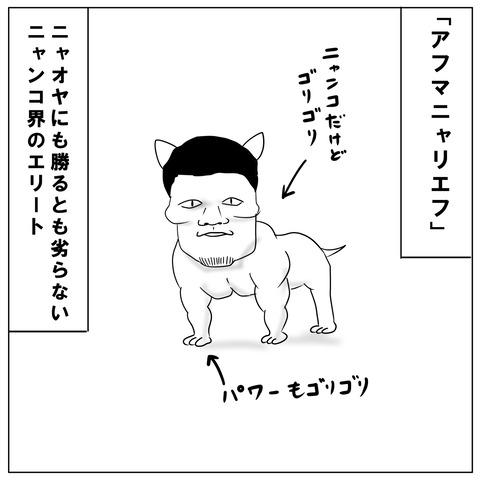 アフマダリエフ9-2