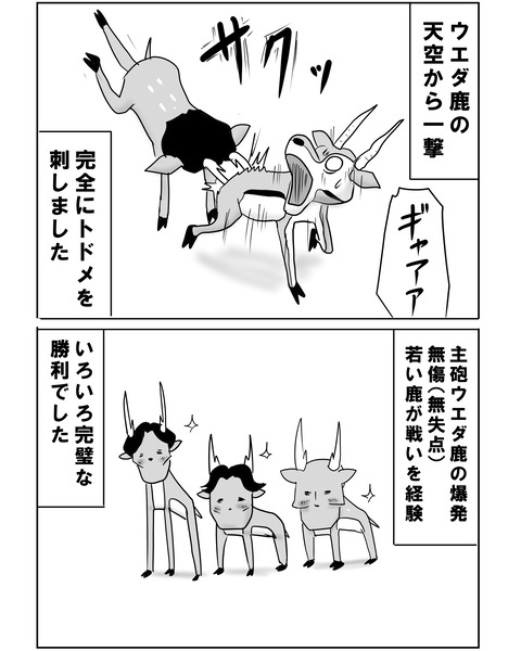 チュニジア戦11