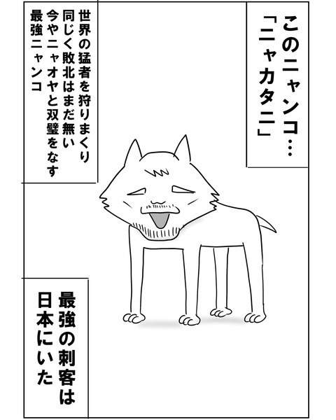 ニャオヤ3