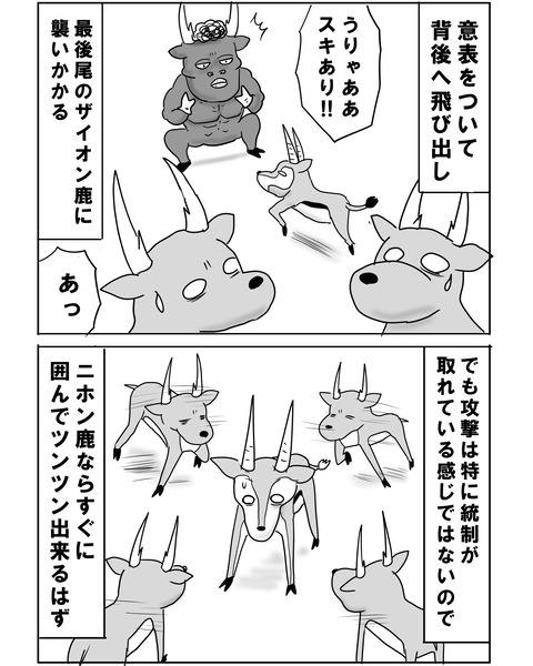 チュニジア8