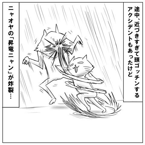 ニャオ11