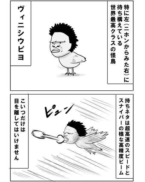 ブラジル8