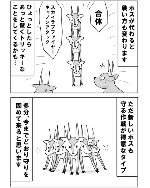 チュニジア14