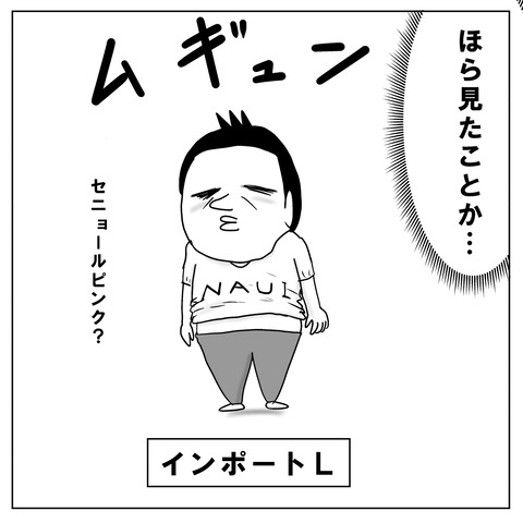 インポート5