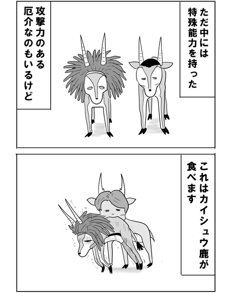 チュニジア9