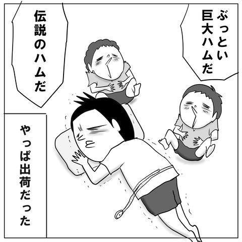 出荷12