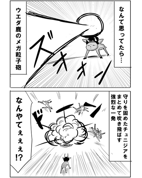 チュニジア戦5