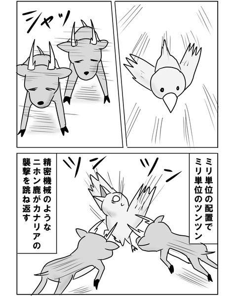 続ブラジル4