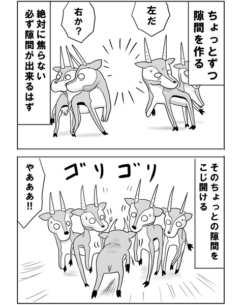 チュニジア12