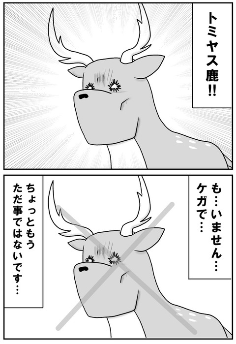 中国6