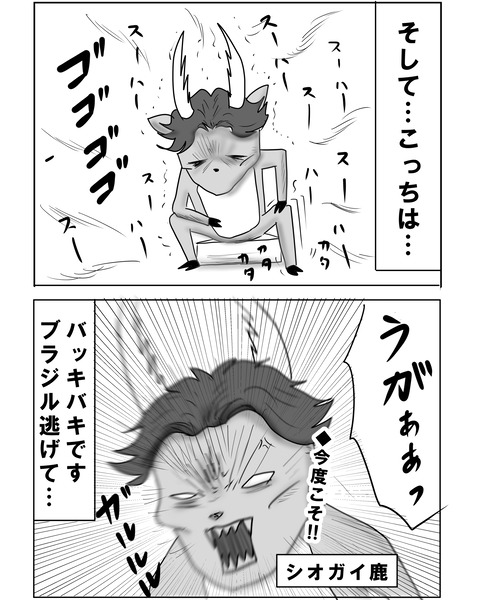 ブラジル19