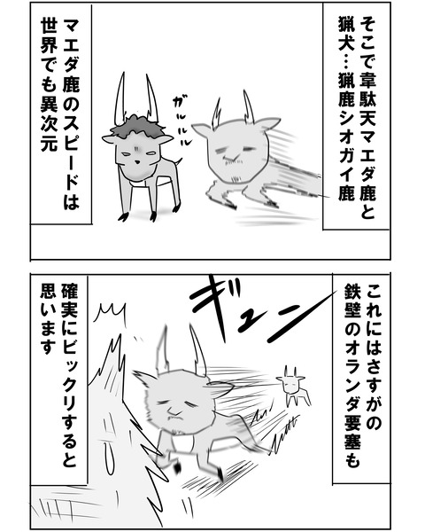 オランダ戦14