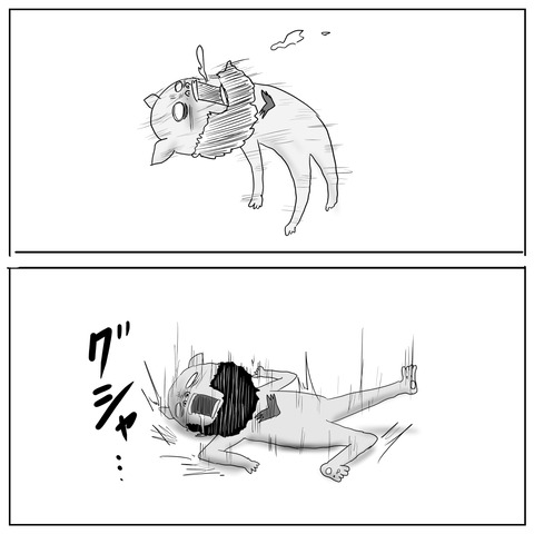 ニャオヤ9