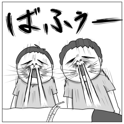 出荷11