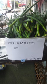 69c8cff8.jpg