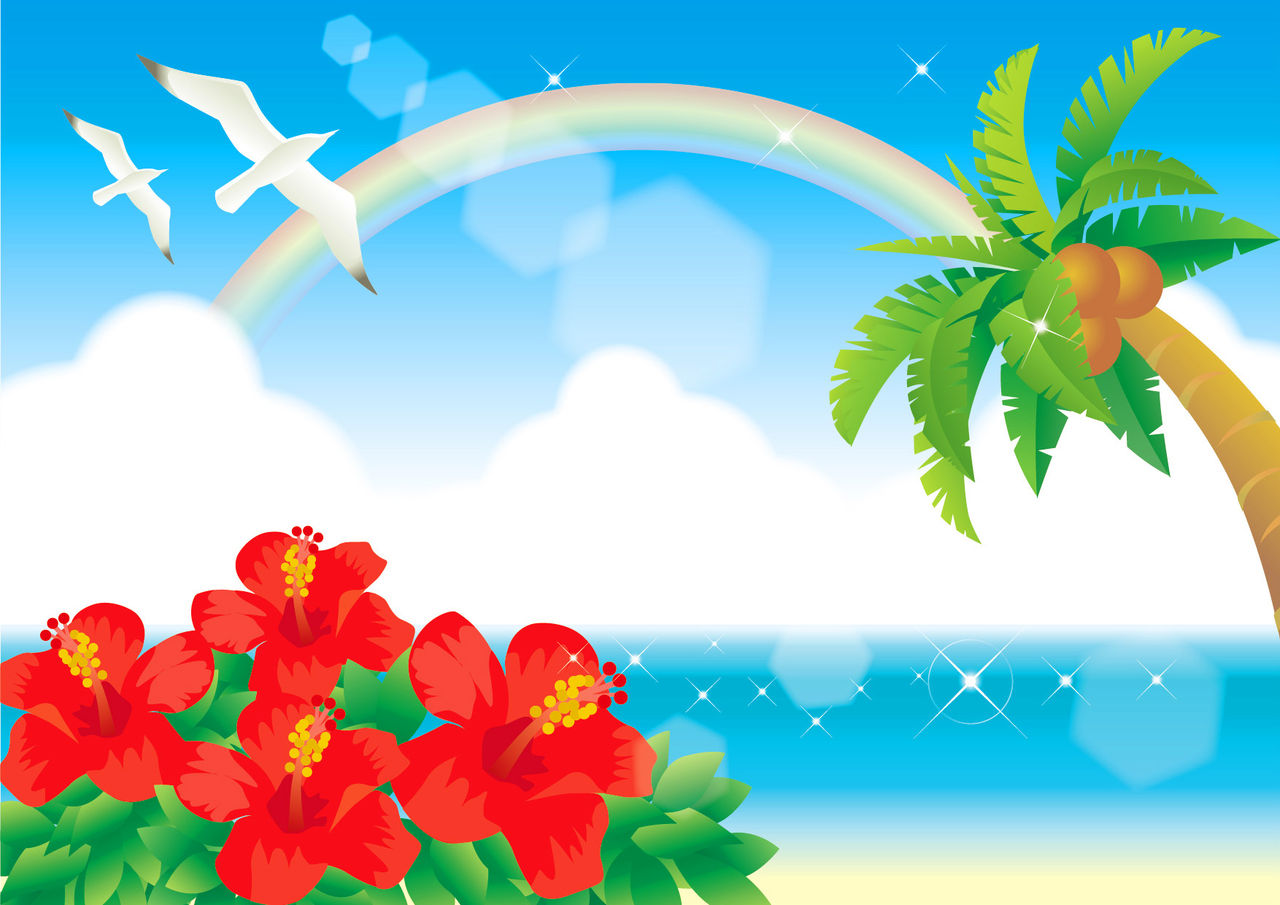 夏ハイビスカス