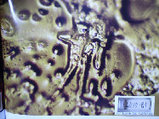 b62487eb.jpg