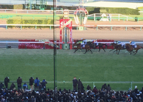 有馬記念ゴール前
