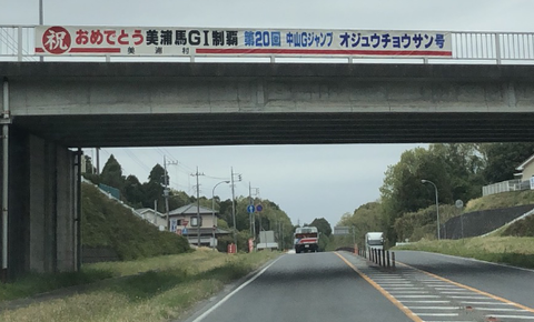 オジュウチョウサン20回