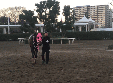 アポロケンタッキー号