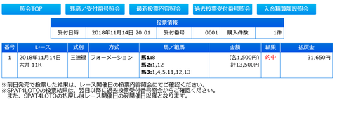 ハイセイコー記念的中馬券