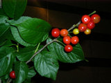 bd296f49.jpg