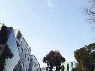 sky315