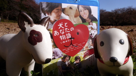 犬とあなたの物語