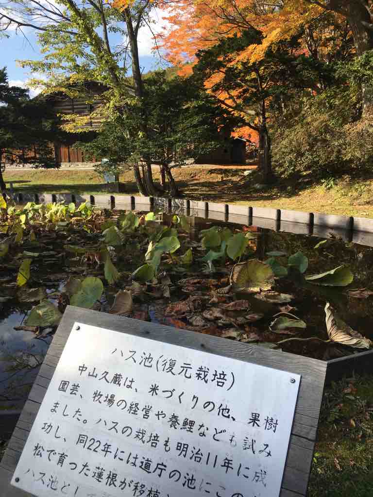 ボーイズビーの場所 笑 47歳unityソコソコ頑張ってるよ日記