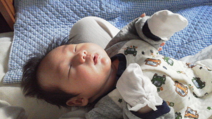 バルタン星人参上 みぃちゃんねる 育児日記