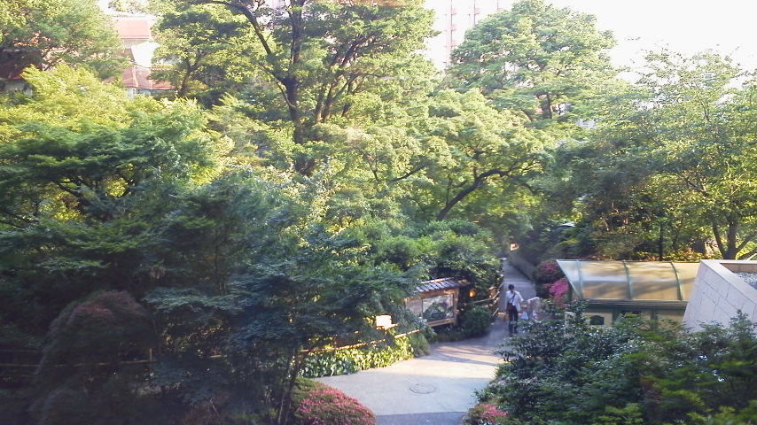 椿山荘ほたるの夕べ みぃちゃんねる 育児日記