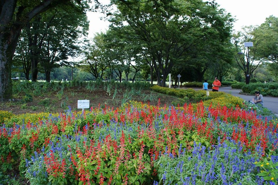 日比谷 公園 自転車 乗り入れ