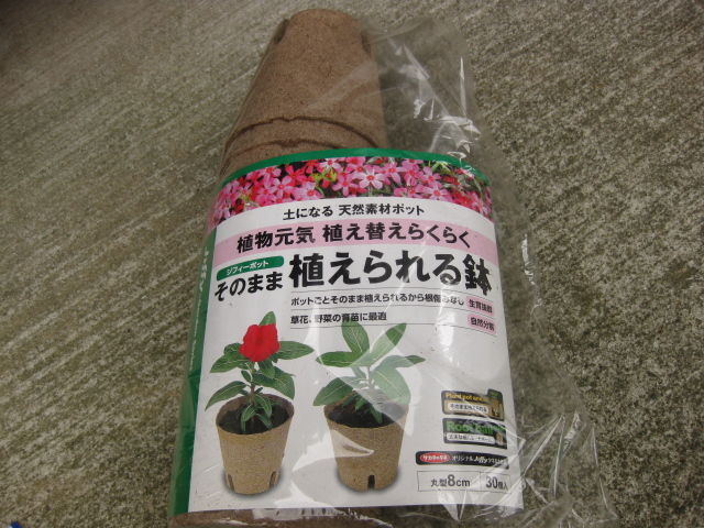 ルピナスの種まき みーの花日記 ルピナスの種まき みーの花日記