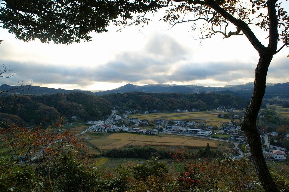 みーの旅日記