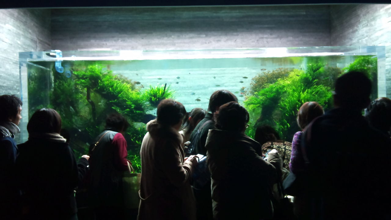 すみだ水族館に行ってきました Tank Memo すみだ水族館に行ってきました Tank Memo