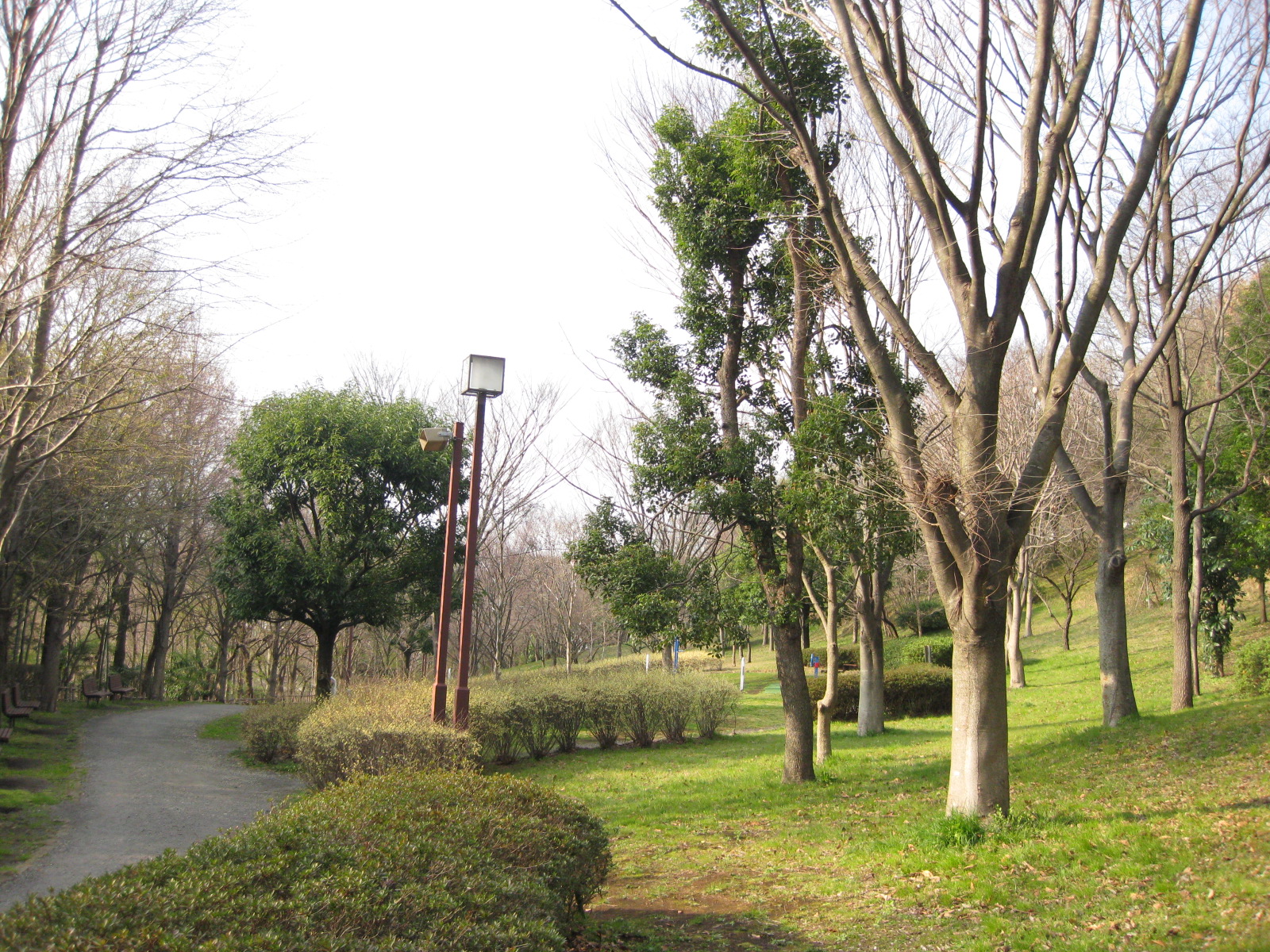 今川公園 お散歩日和 今川公園 お散歩日和