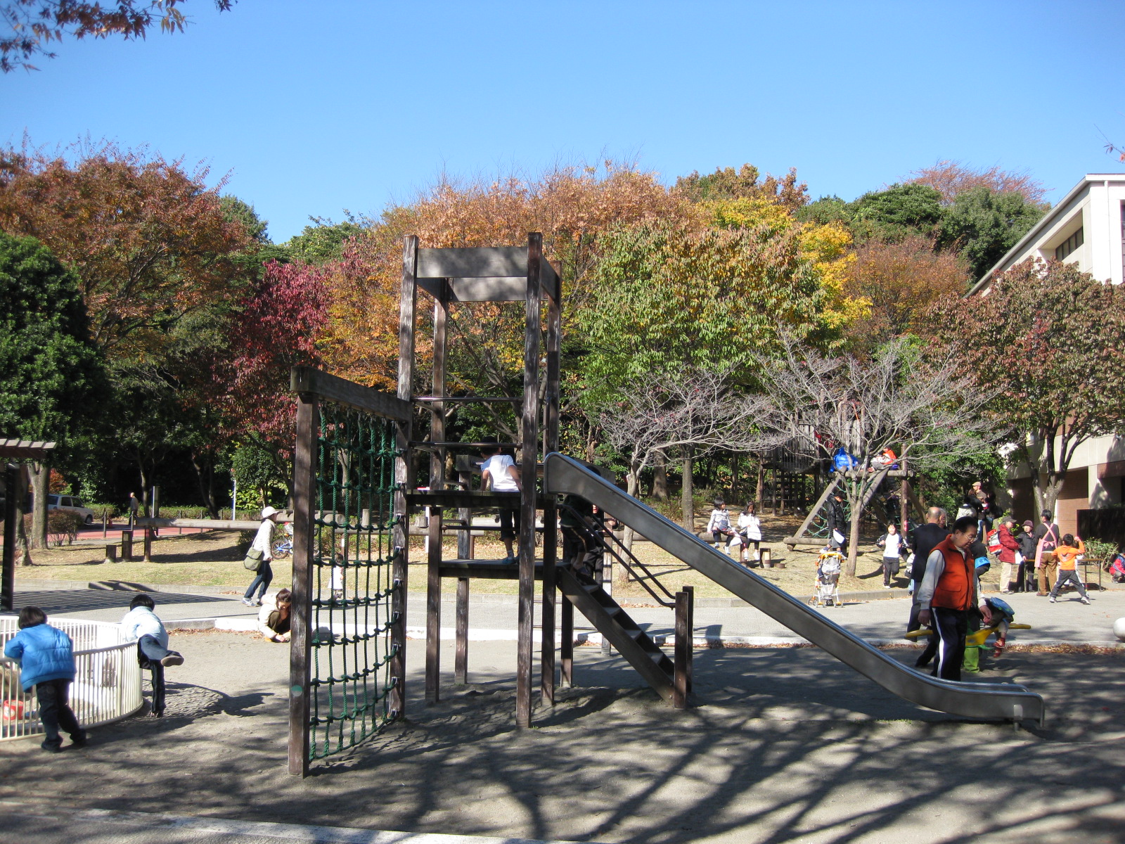 本牧なかよし公園 お散歩日和