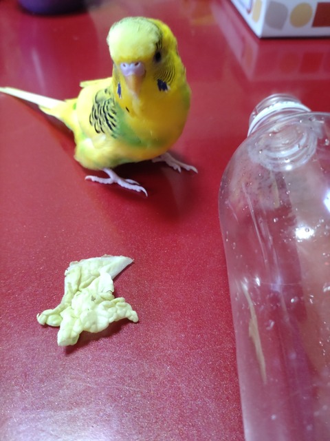 凛々しく立つ