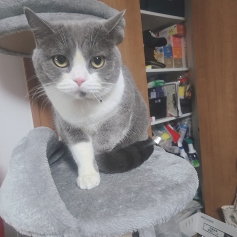 beauty_20241019160534