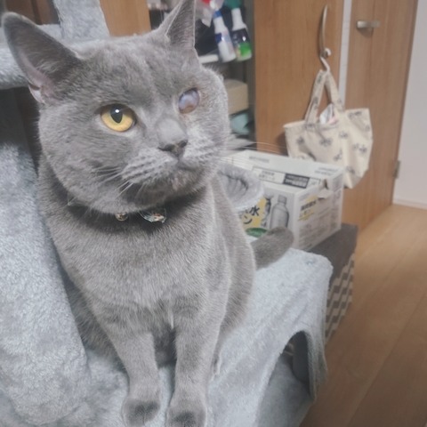 beauty_20241019160543