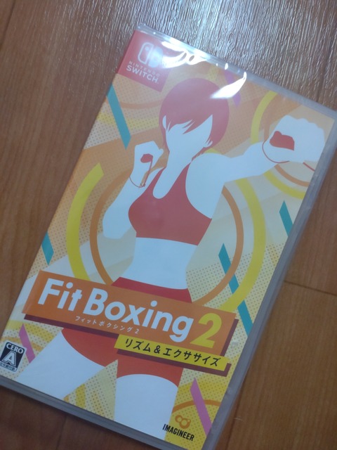 Switchボクシングソフト