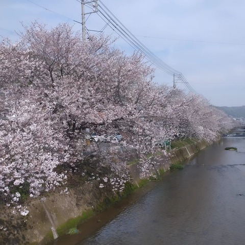 CYMERA_20240407_185104