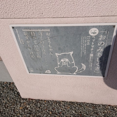 CYMERA_20210131_132820