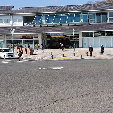 尾道駅尾道桜土手散歩名所桜開花花見散歩