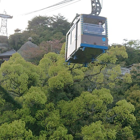 尾道千光寺ロープウェイ歩き猫01