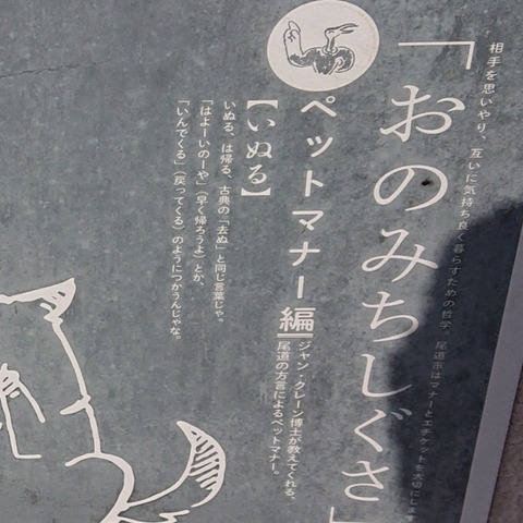 CYMERA_20210131_133001